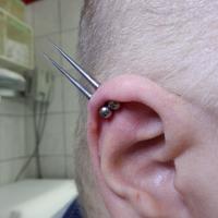 Piercings in Wien